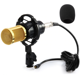 [501231] Microfono Condensador Profesional