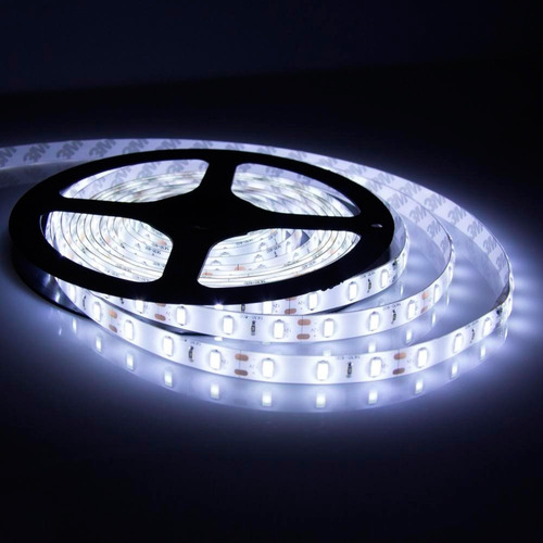 Tira Led 4040 Interior Blanco Frio 5mts