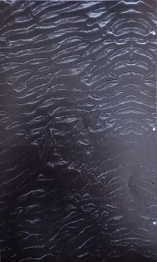 [6831 skn123] Lensun film trasero skn123